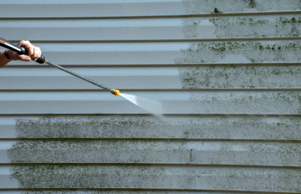 Best Roof Pressure Washing  in Horicon, WI