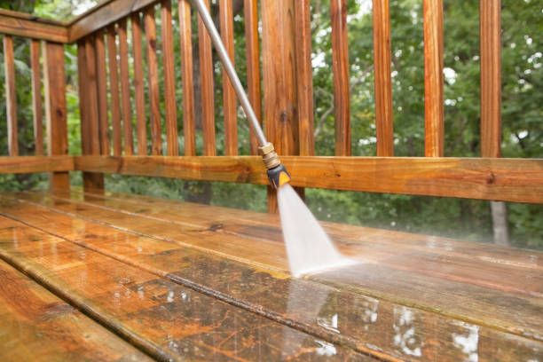 Best Roof Pressure Washing  in Horicon, WI